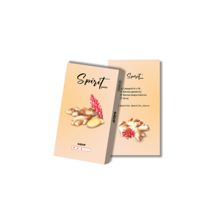Заправка Spirit Gastro Имбирь (Ginger) 50 g. Заправка Spirit Gastro Имбирь (Ginger) 50 g.
