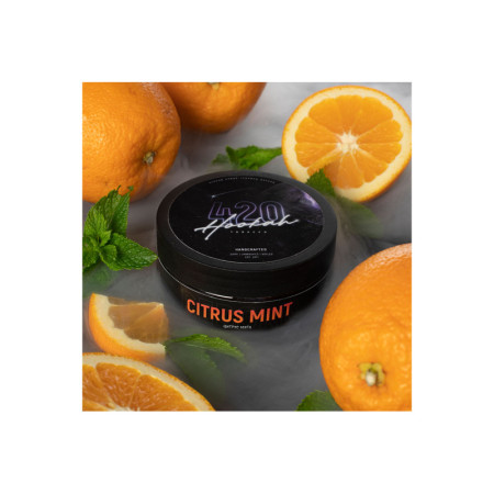 Заправка 420 Classic Citrus Mint (Цитрус Мята) 100 g.