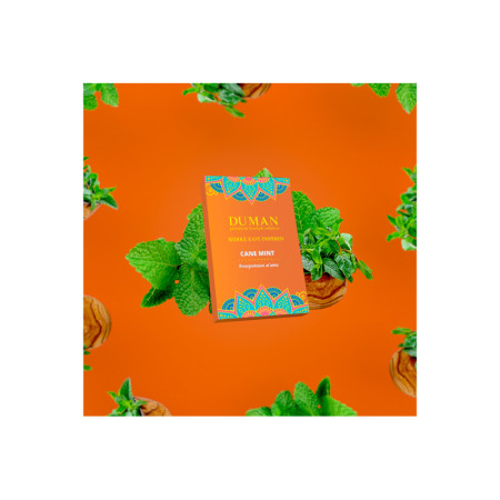 Заправка Duman Cane Mint (Мята) 100 g. Заправка Duman Cane Mint (Мята) 100 g.